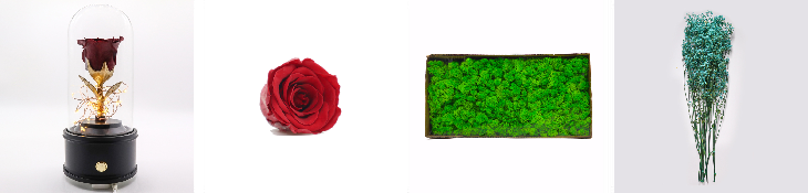 Everlasting Preserved Rose Glass Dome Bring A Unforgettable Experience