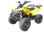 ATV 110cc,125cc,4-stroke,air-cooled,single cylinder,gasoline electric start