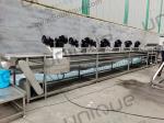 Stainless Steel 304 Dates Processing Line for Washing and Drying of Dates