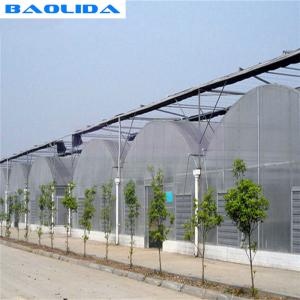 Wholesale Long Life Span Heavy Duty Plastic Greenhouse High Large Size Available from china suppliers