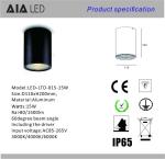 IP65 waterproof downlight 15W COB LED down light&surface mounted outdoor