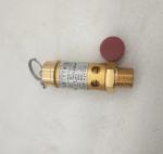 DN15 Metal Air Compressor Safety Valve Model 39588017