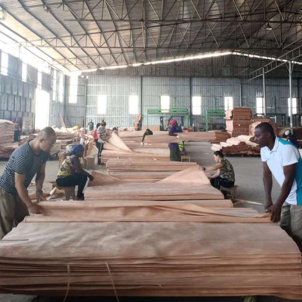 Birch Faced Decoration Natural Wood Veneer Panel Multilayer First Class