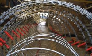 Wholesale 980mm Electrified Razor Barbed Wire , Concertina Wire Wall With Blades Fence from china suppliers