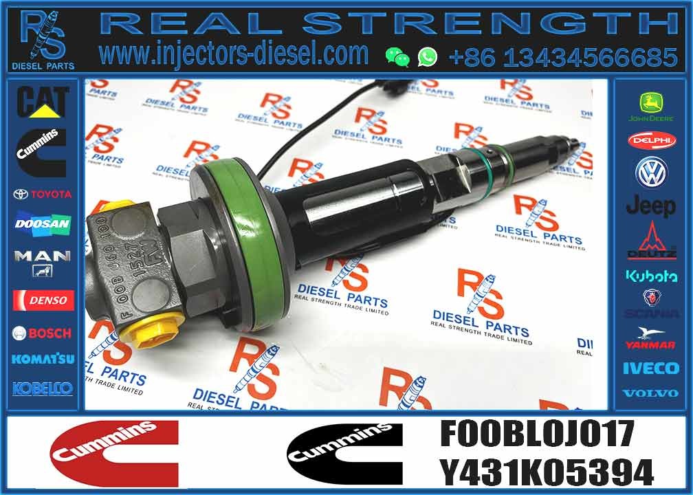 Common Rail Engine Accessories Diesel Injector 4964171 FOOBLOJ017 F00BLOJ017 FOR