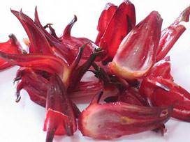 Wholesale Roselle Extract Anthocyanins5%,25% UV promote blood cell destruction from china suppliers