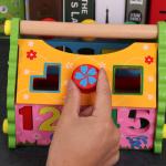 Kids Shape Sorter Wisdom House Wooden Montessori Bright