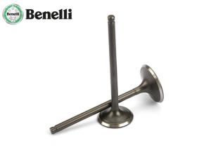 Wholesale Original Motorcycle Engine Valve for Benelli TNT250, BN250, BJ250 from china suppliers