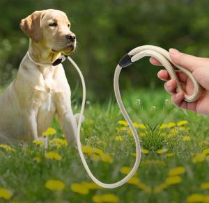 Wholesale Mountain Climbing Nylon Rope Dog Lead For Training Medium Large Dogs from china suppliers
