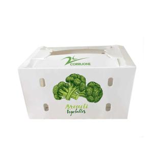 Wholesale New 2023 PP Corrugated plastic box Vegetable box cauliflower box from china suppliers