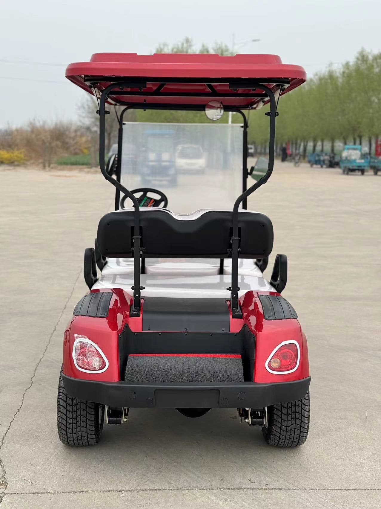 60v100ah Golf Cart Lead-Acid Automatic Battery Operated Electric Walking 4 Seat