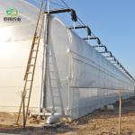 Steel-Plastic Double Arch Beam Greenhouse with Snow Vibrator Arched Roof Heavy
