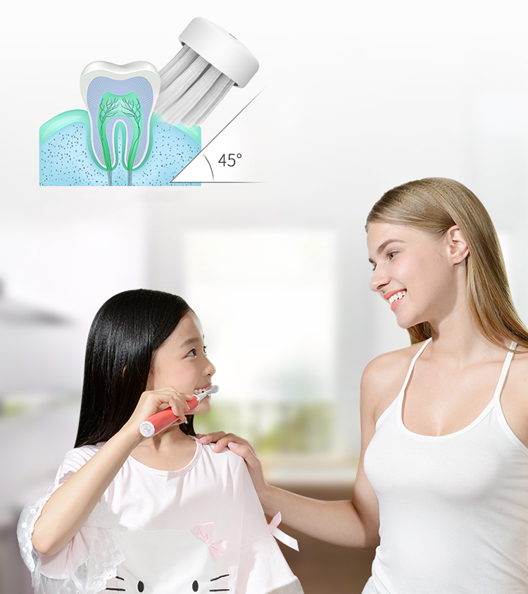 CONTEC C1 Waterproof IPX7 Electric Sonic Toothbrush Rechargeable Toothbrush