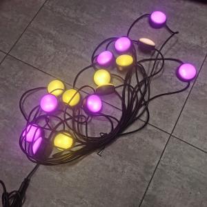Wholesale 15 Bulbs 10m RGB Other LED Lights Lawn Light Post Tuya APP Control from china suppliers