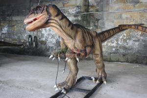 Wholesale Lifelike Head Swing Hand Carved Animatronic Dinosaur Display Business Park from china suppliers