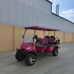 6 Seater Pink Electric Golf Cart With Lead Acid Battery