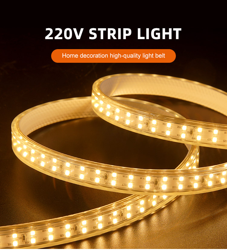 DC220V Smd 2835 Led Strip 12.5W/M Color Change Outdoor Led Strip