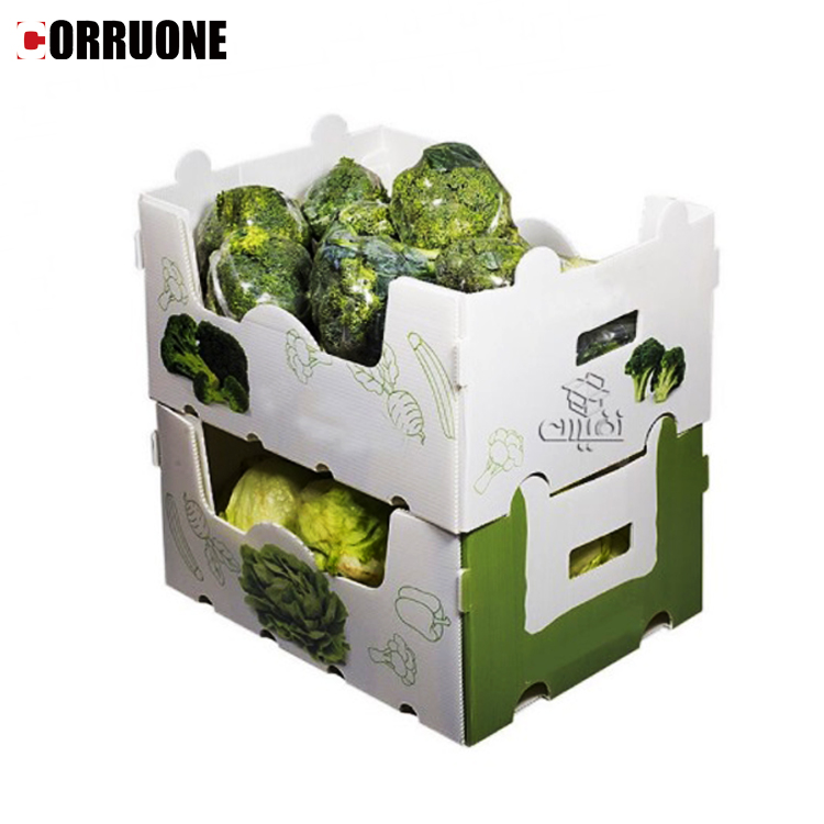 A4 Nuc Asparagus Corrugated Plastic Sheet Box With UV Coating