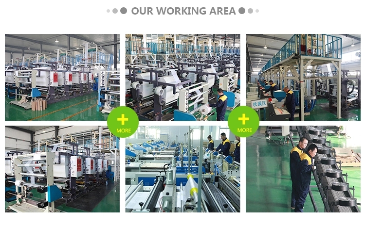 custom printed cornstarch made biodegradable compostable eco plastic mailing bags