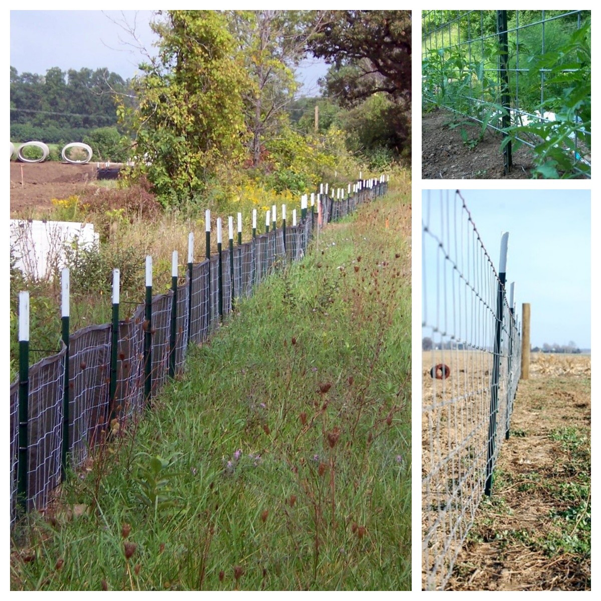 Corrosion Resistant Zinc Coated Y Post Without Teeth For Agricultural Fencing