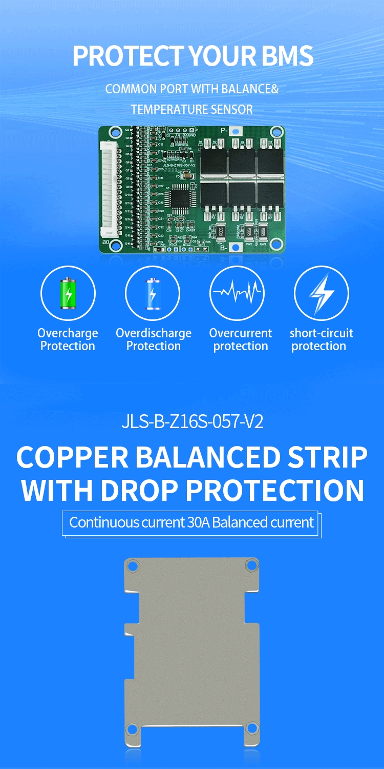 13s 48v Battery Management System Bms For Lithium Iron Phosphate / Ncm