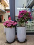 Round Shape Fiberglass Flower Pots GRP Planter Box for Hotel Outdoor Indoor
