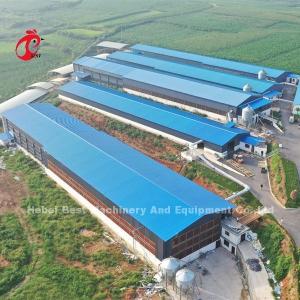 Wholesale Automatic Poultry Battery Cage System Coated Wire With Long Lifespan Nigeria Sandy from china suppliers