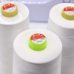 500g 40S-2 Quilting Top Thread for Chemical Resistance and 100% Polyester Sewing