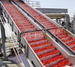Industrial Tomato Sauce Production Line Automatic Commercial Tomato Processing