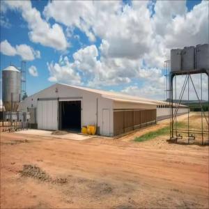 Wholesale Modern Design Waterproof Thermal Insulation Chicken House Laying Chicken House Steel Structure Poultry House from china suppliers
