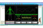 French / Malaysia / Korean Version Quantum Sub Health Analyzer