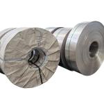 ASTM Polished Stainless Steel Coil 0.5mm SUS304 304L 310S Hot Rolled