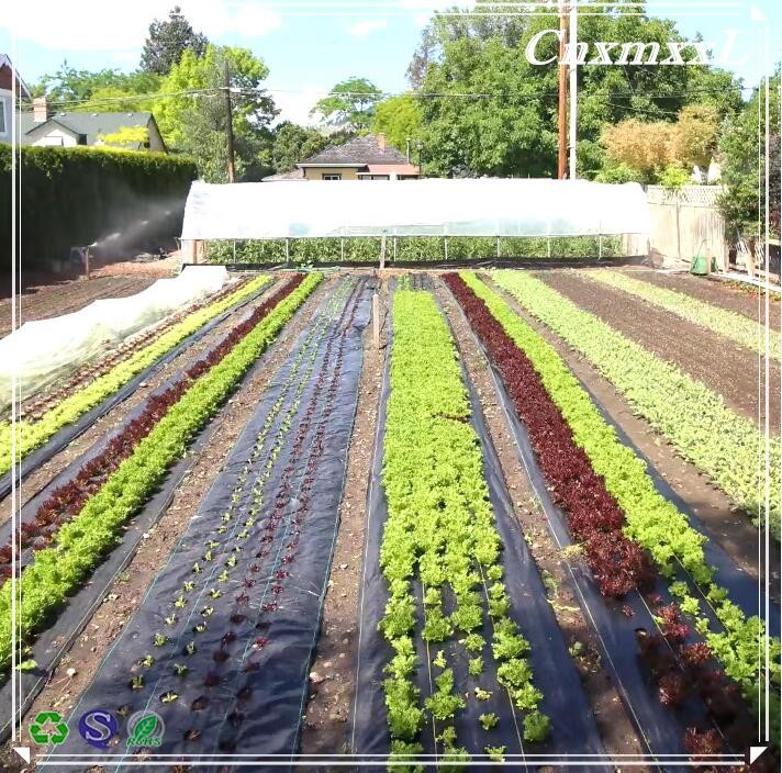 100m Biodegradable Plastic Weed Mat 3.5m Polypropylene Woven Ground Cover