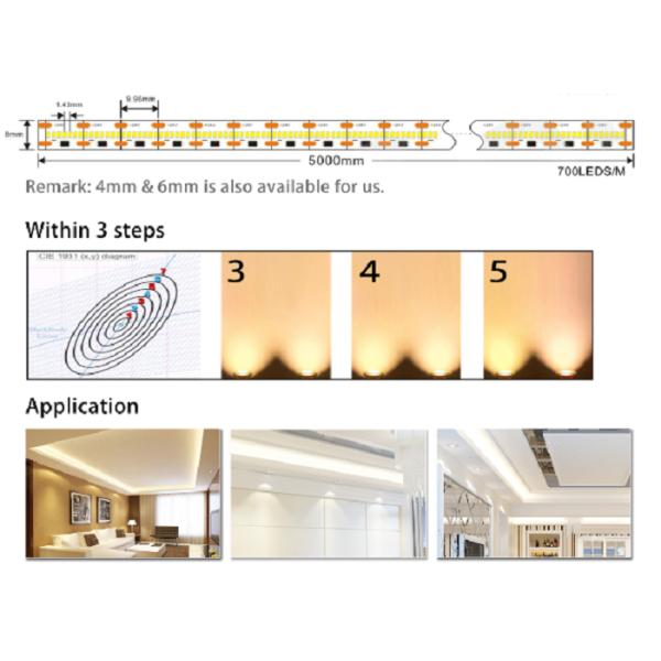 LED flexible strip 2110 with HIGH CRI >90 3 Steps SDCM Macadam White color ultra slim width 4/6/8mm high intensity and