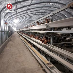 Wholesale H Type Layer Chicken Cage Hot Dipped Galvanised Chicken Farm from china suppliers