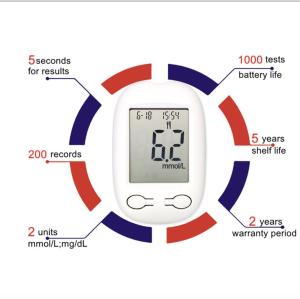 Wholesale Wholesale Portable Blood Sugar Test Meter BGM-102 from china suppliers
