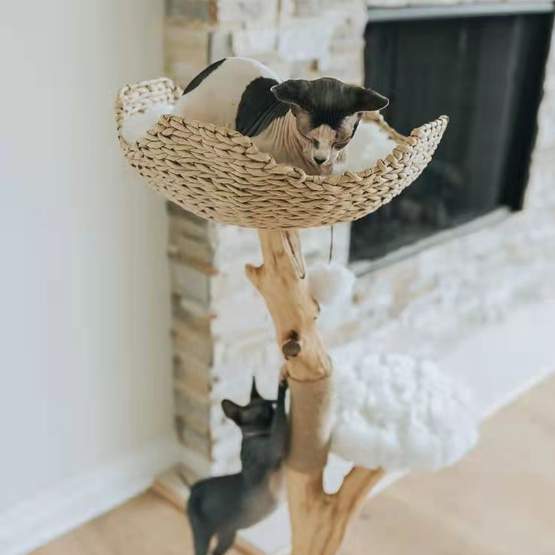 Cat Tree Unique Design Natural Wood Cat Tower Easy Climbing Small cat