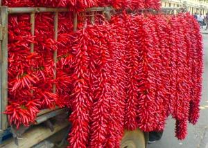 Wholesale 20000SHU Dried Chinese Chilis Vacuume Packing Spicy Chaotian / Tianjin Chilli from china suppliers