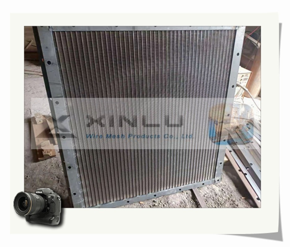 Wedge Wire 100 Mesh Filter Screen Stainless Steel Customized For Water Treatment