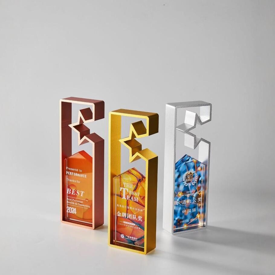 Custom Shape Acrylic Trophy Award Plaque Authorization for Company Annual Conference and Employee Prize