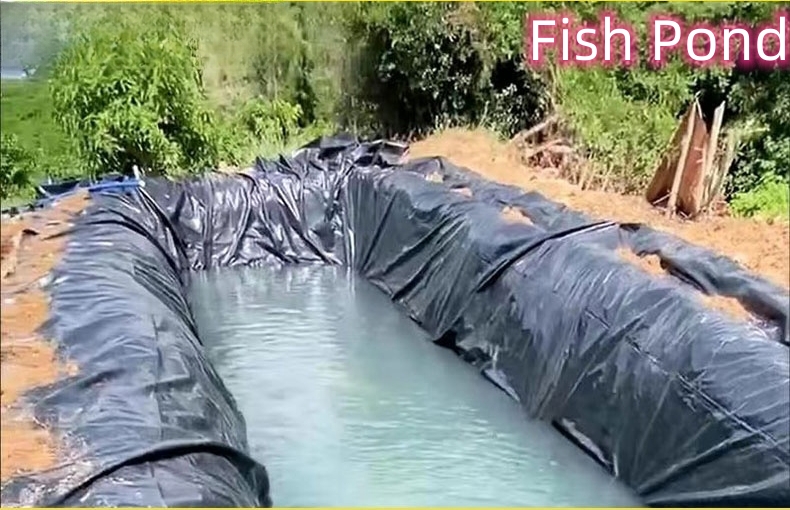 Length 50-200m Geomembrane for Fish Ponds Smooth and Durable 1mm 2mm Thickness