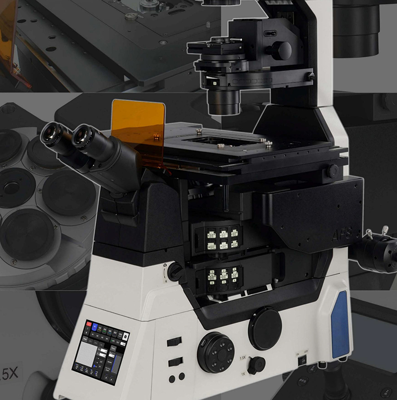OPTO EDU A16.1099 Full Auto Semi-APO Inverted Fluorescent Microscope