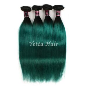 Wholesale Dark Roots Green Ombre Human Hair Extensions / Brazilian Hair Weave from china suppliers