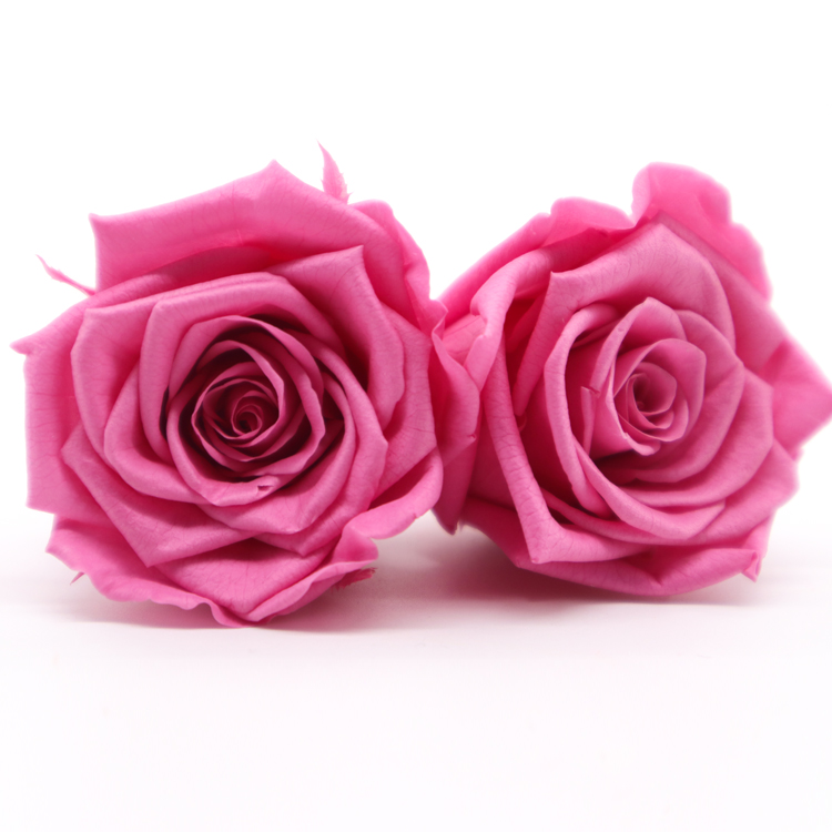 4-5cm Preserved Rose Heads Allergy Friendly Only For Indoor Use