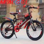 Junior 22in Mountain Bike Light Frame Mountain Bike 6 Speed With Fender Carrier