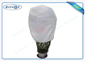 Wholesale PP Spunbond Agriculture Non Woven Cover Fabric Bag Material Nonwoven Fabric from china suppliers