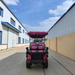 4+2 Seat Golf Cart Appearance Fashionable Design High-End Hot Sales 3.5/4/7Kw