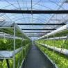 Buy cheap JX-A0022 Commercial Greenhouse with Multi-Span Plastic Tunnel Film Design from wholesalers