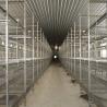 Buy cheap CE SGS Poultry Farm Layer Cage 3-10 Tiers Trolley Feeding from wholesalers
