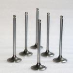 Engine Intake Exhaust Valve P40 For NISSAN 13202-58000 13202-58002